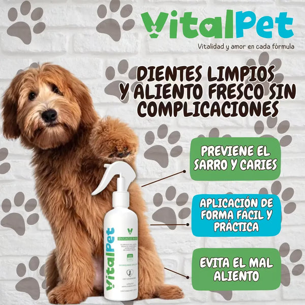 VitalPet Frescor Oral