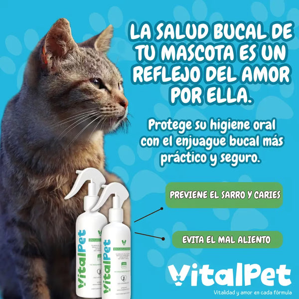VitalPet Frescor Oral